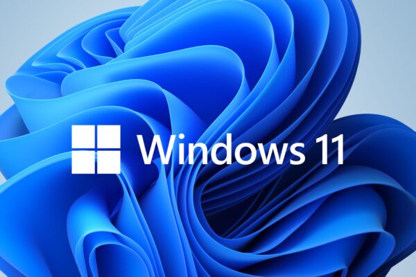 Windows 11 Pro