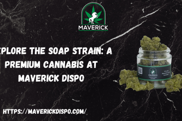 SOAP Strain