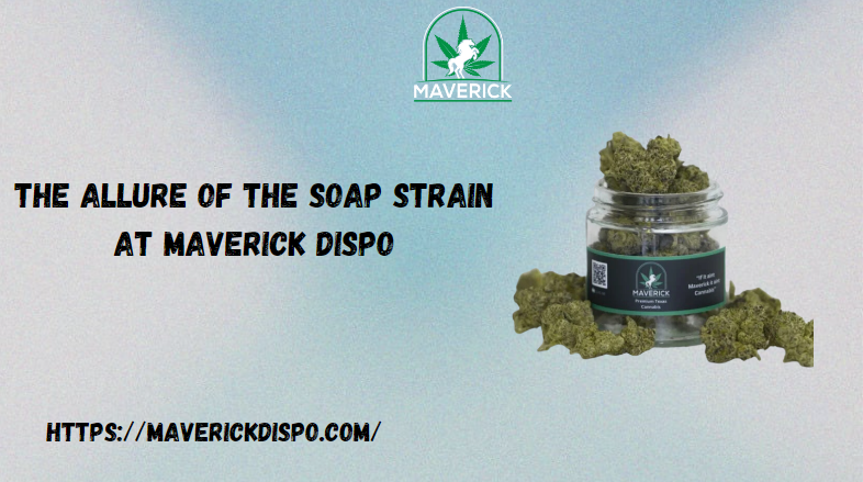 SOAP Strain