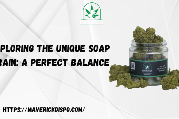 Soap Strain