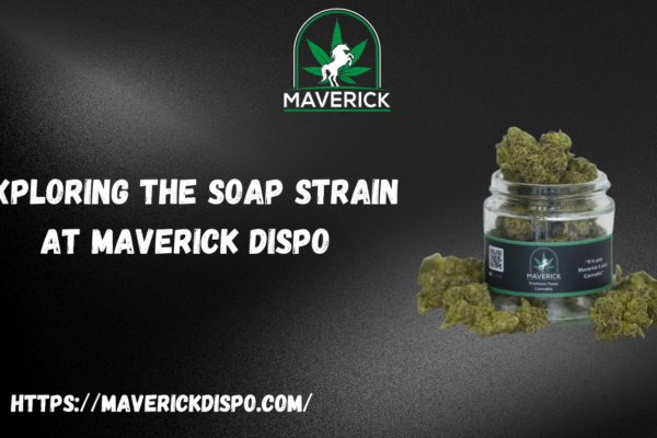 SOAP Strain