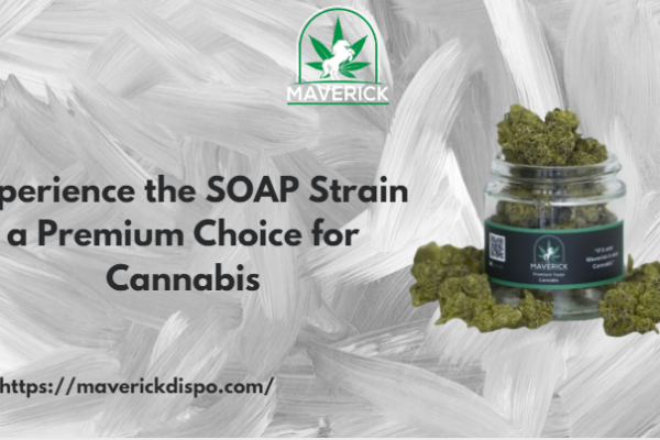 SOAP Strain