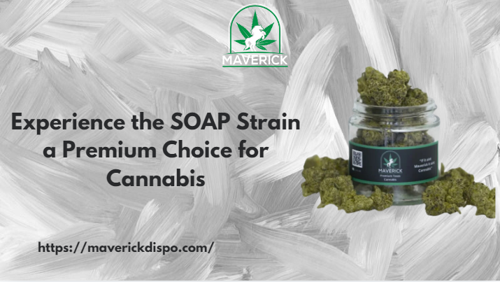 SOAP Strain