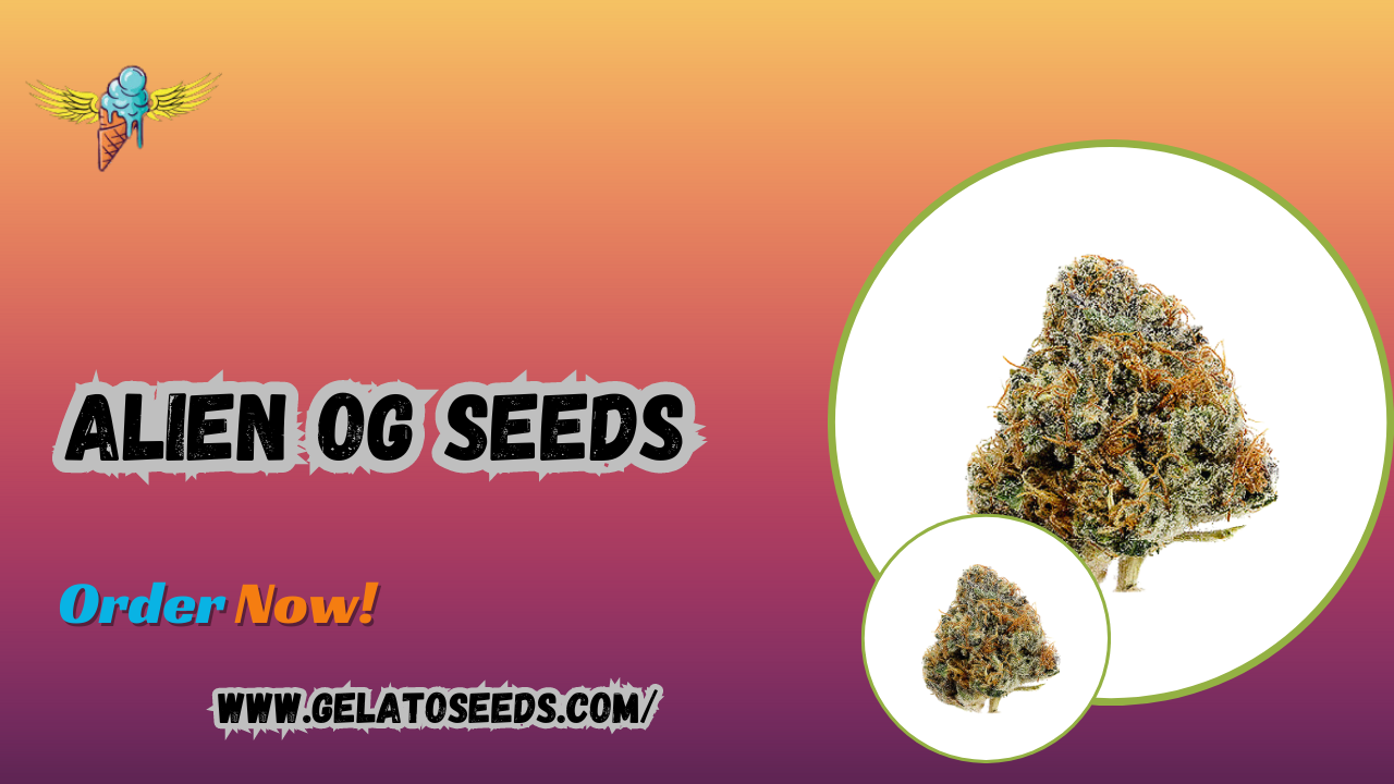 Alien OG Seeds