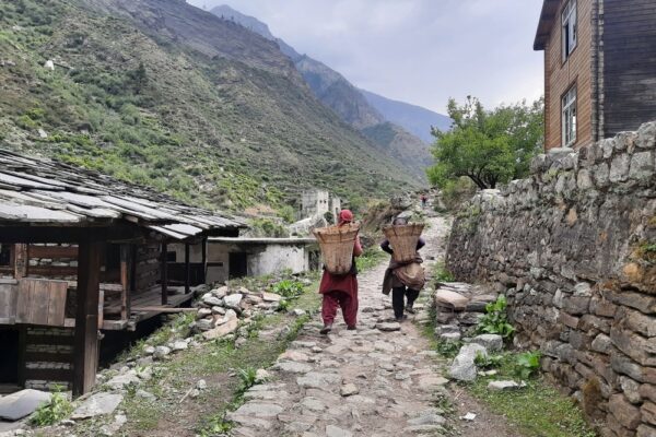 Bali Pass Trek