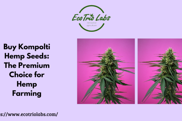 Kompolti Hemp Seeds