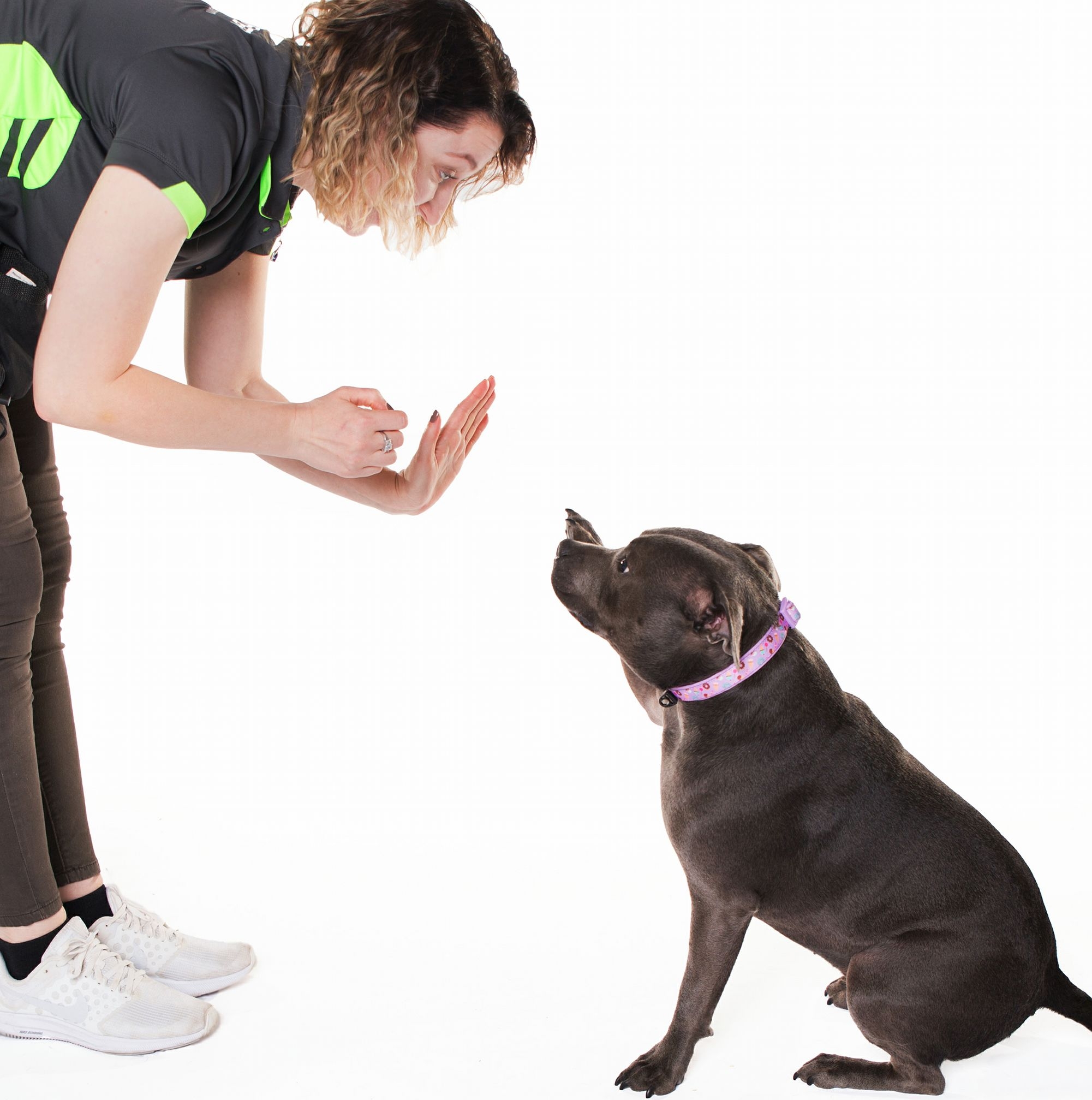 Dog Training Western Sydney