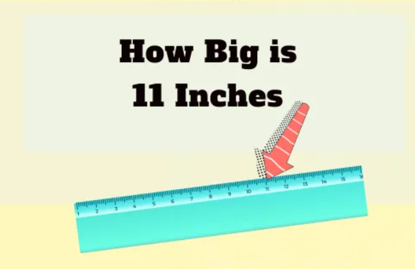 How Big is 11 Inches