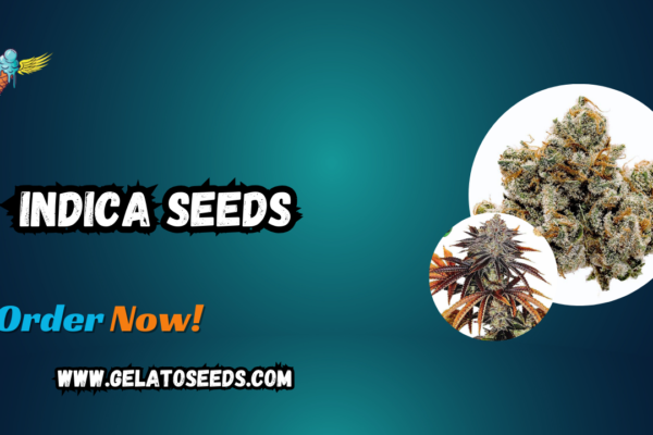 Indica Seeds