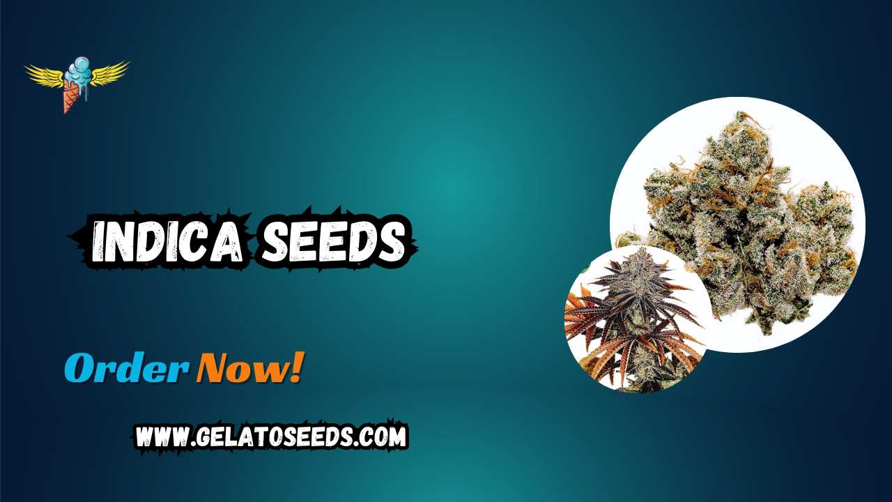 Indica Seeds