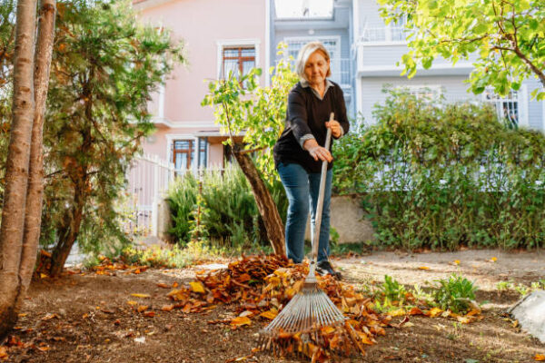 Residential Land Clearing