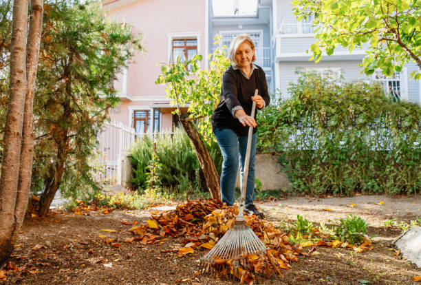 Residential Land Clearing