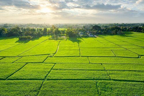 HMDA Plots in IIT Kandi 