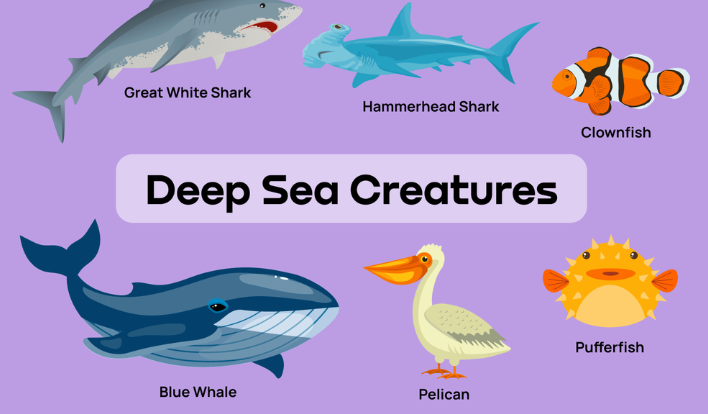 Sea Creatures