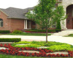 Landscaping Companies San Antonio