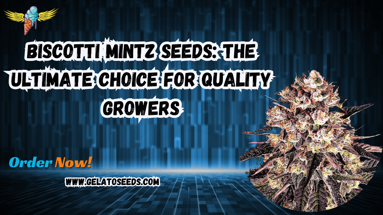 Biscotti Mintz seeds