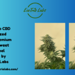 Caramelo CBD Feminized Seeds