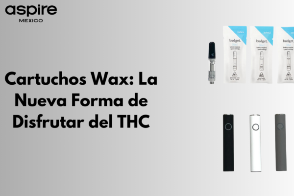 cartuchos wax