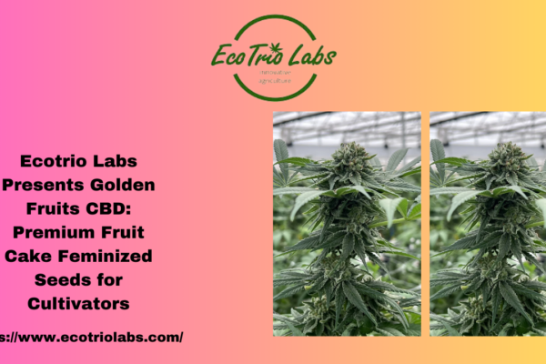 Golden Fruits CBD