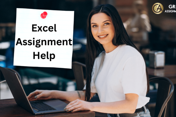 Excel assignment help