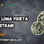 Exotic Loma Prieta Strain