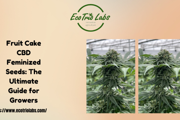 Fruit Cake CBD Feminized Seeds