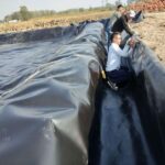 HDPE sheets