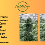 Golden Fruits CBD