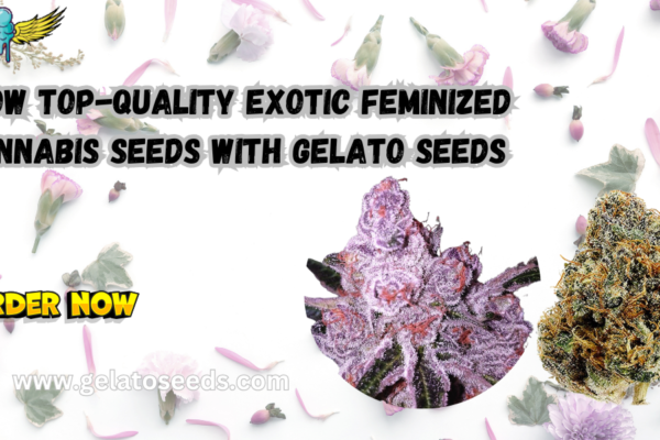 exotic Feminized cannabis seeds