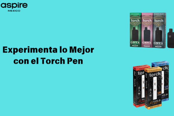 Torch Pen