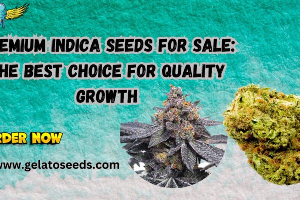 Indica Seed