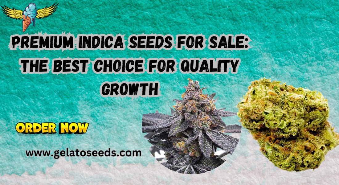 Indica Seed