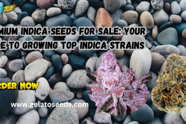 Indica seeds