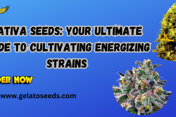 sativa seeds