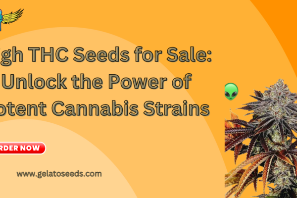 high THC seeds