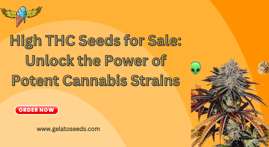 high THC seeds