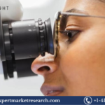 Neovascular Age-Related Macular Degeneration (AMD) Treatment Market