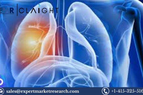 Non-Small Cell Lung Cancer Treatment Market