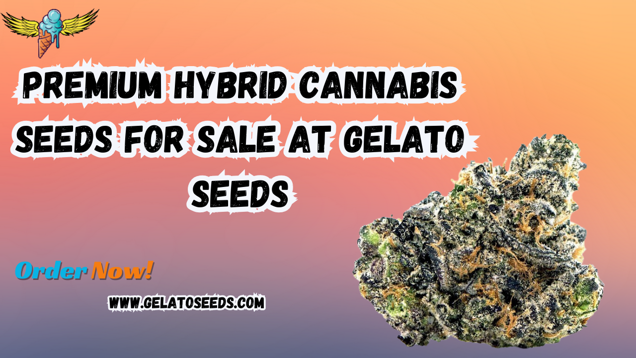 hybrid seeds for sale