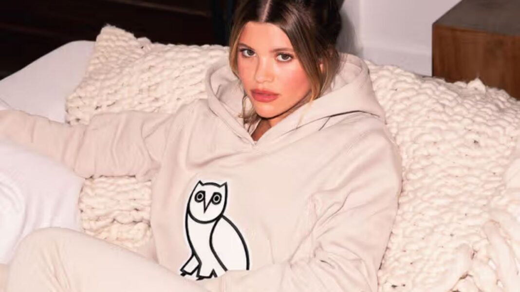 What Makes the OVO Hoodie So Popular