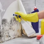 mould treatment Sydney