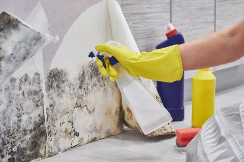 mould treatment Sydney