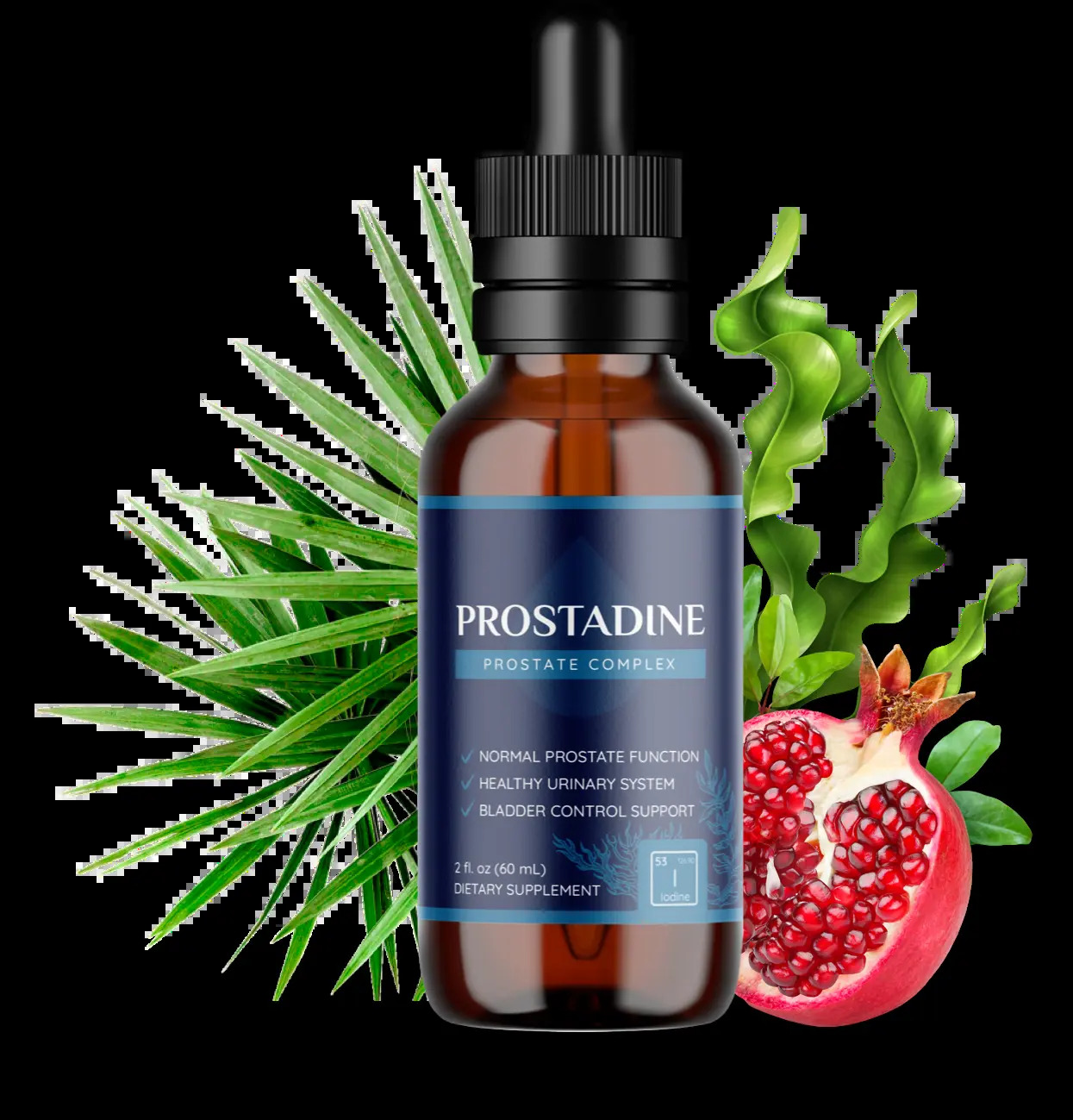 Prostadine isn’t about providing temporary relief; it’s a supplement that aims to support the body’s natural processes, offering benefits that contribute to sustained prostate wellness.